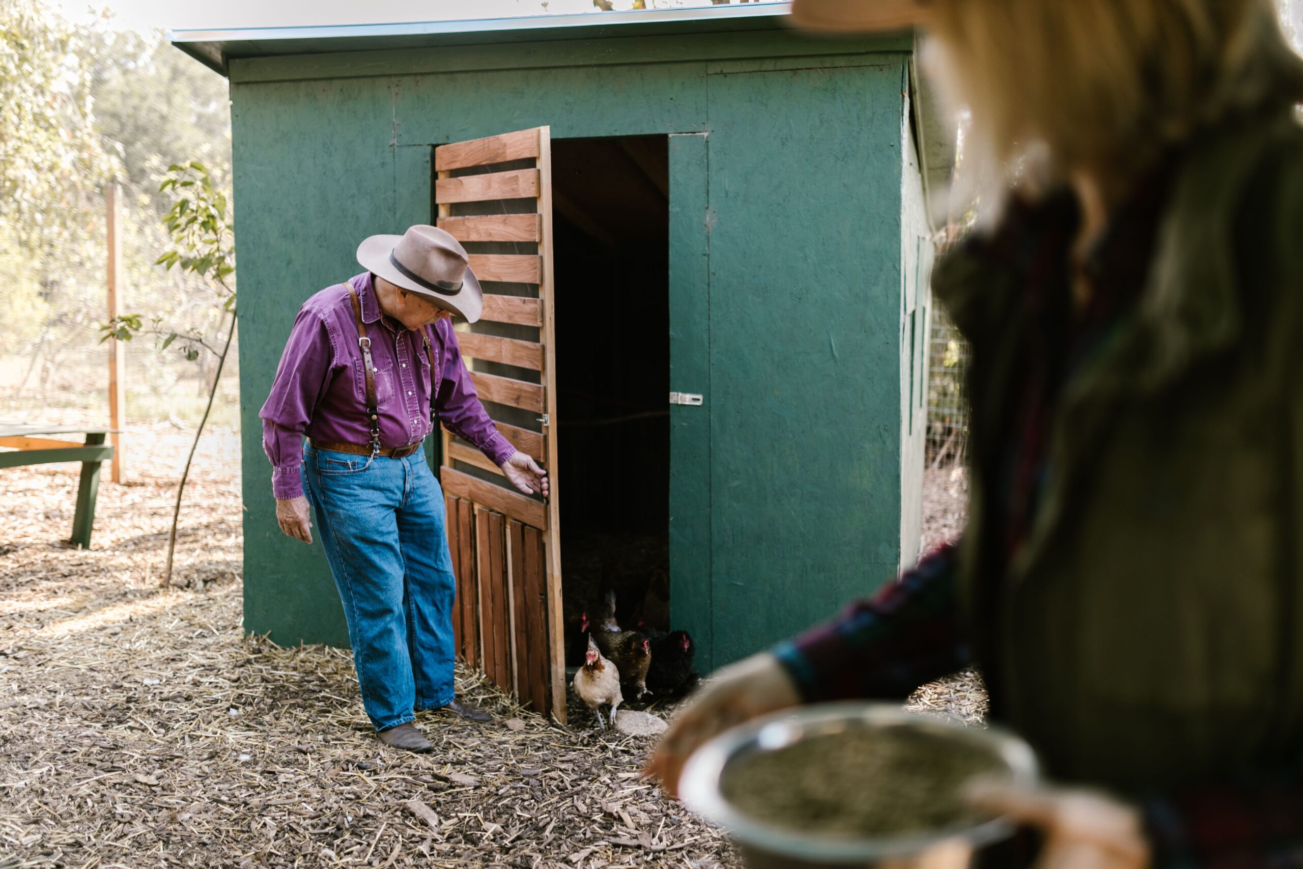 Chicken keeper opening coop door