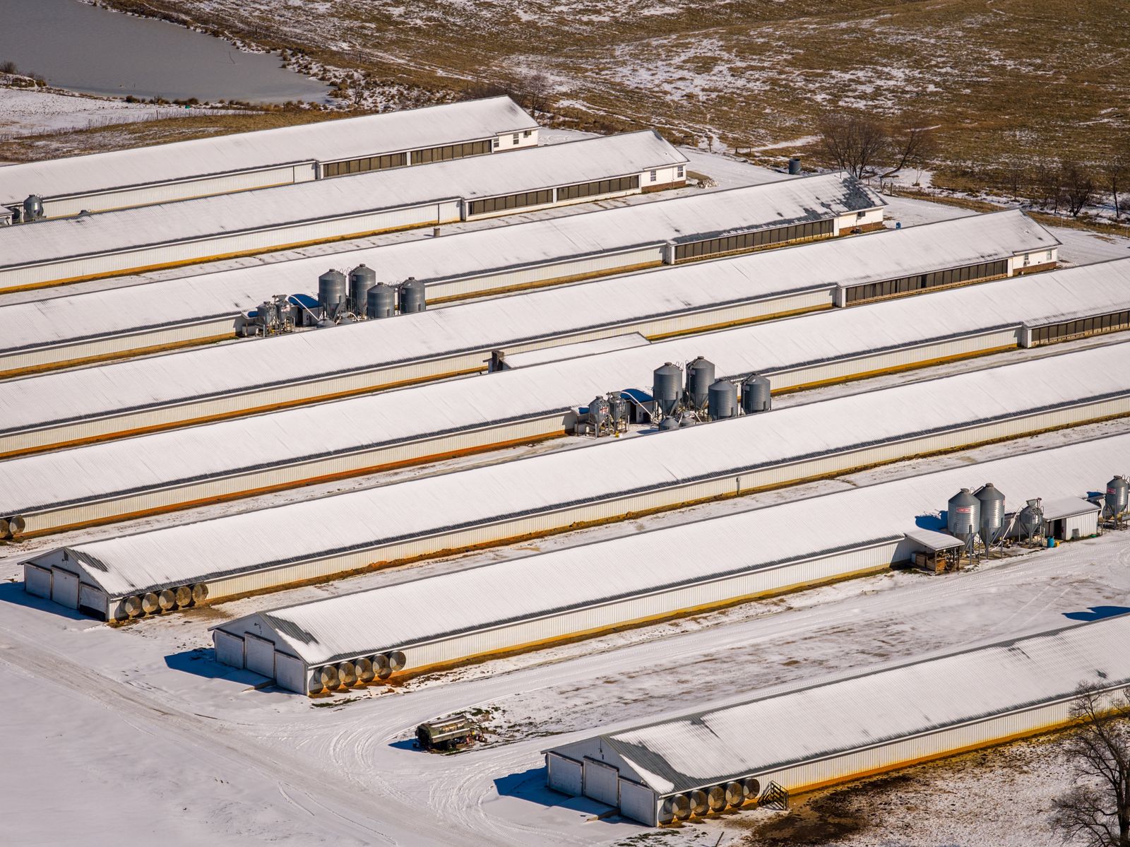 Snow-covered poultry farm buildings