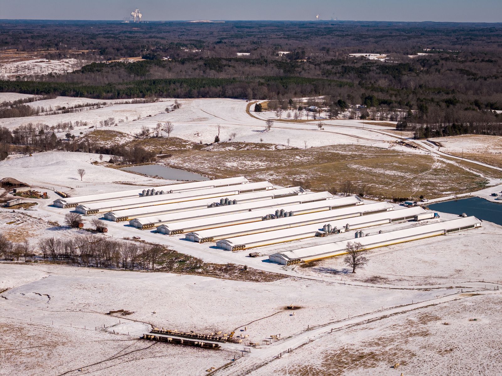 Snow-covered poultry farm landscape