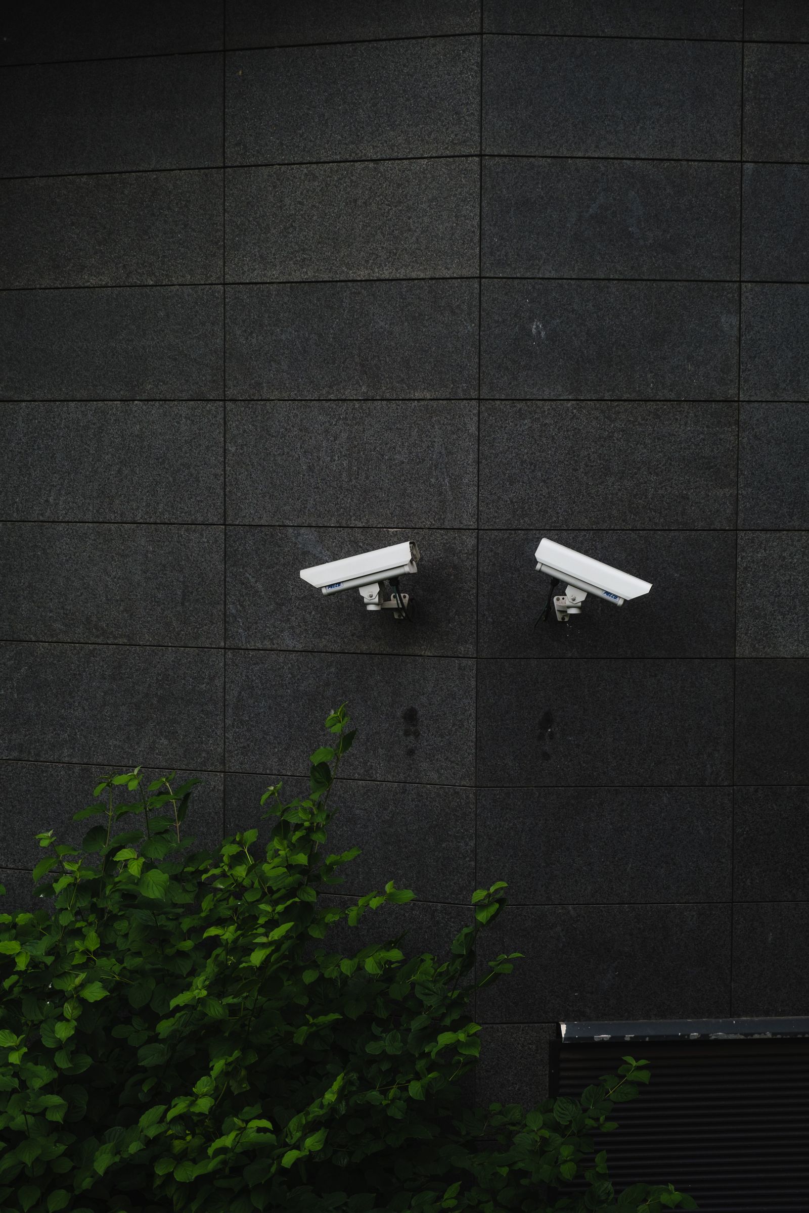 Outdoor security cameras mounted on a wall